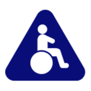 Disability Care